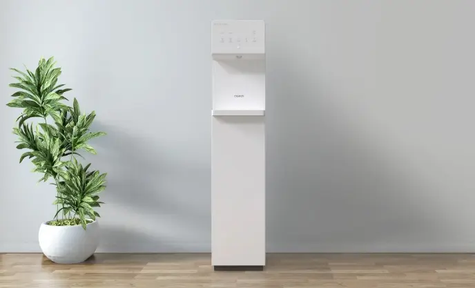 ピットイメージ